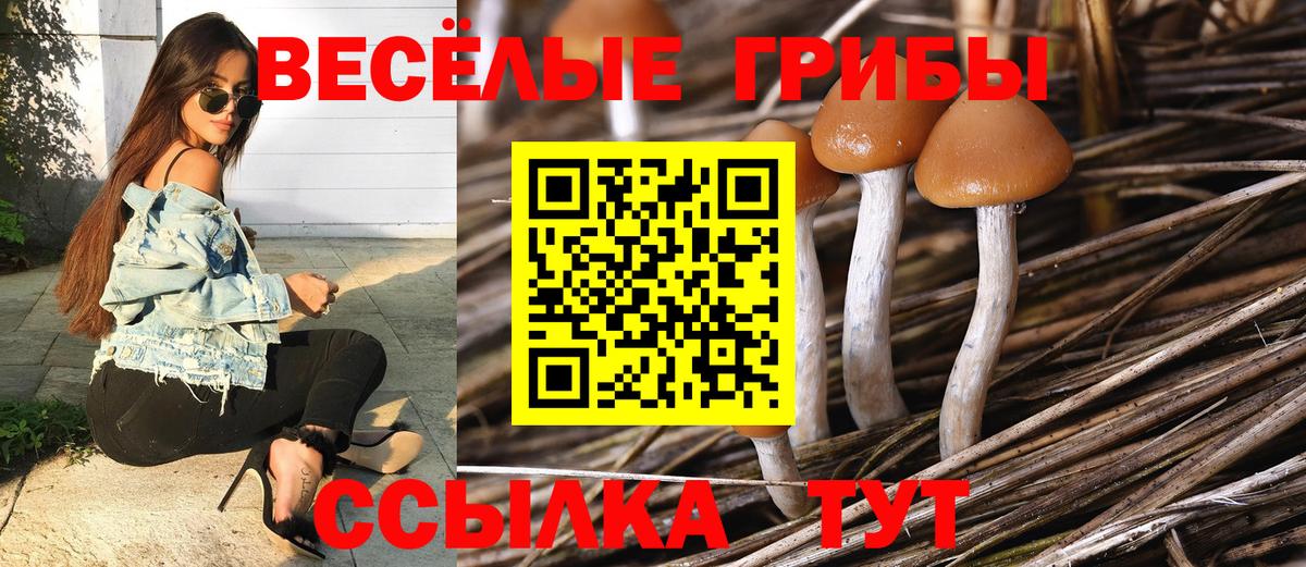 Йошкар-Ола  продажа наркотиков  Вход с VPN  Галлюциногенные грибы мицелий 