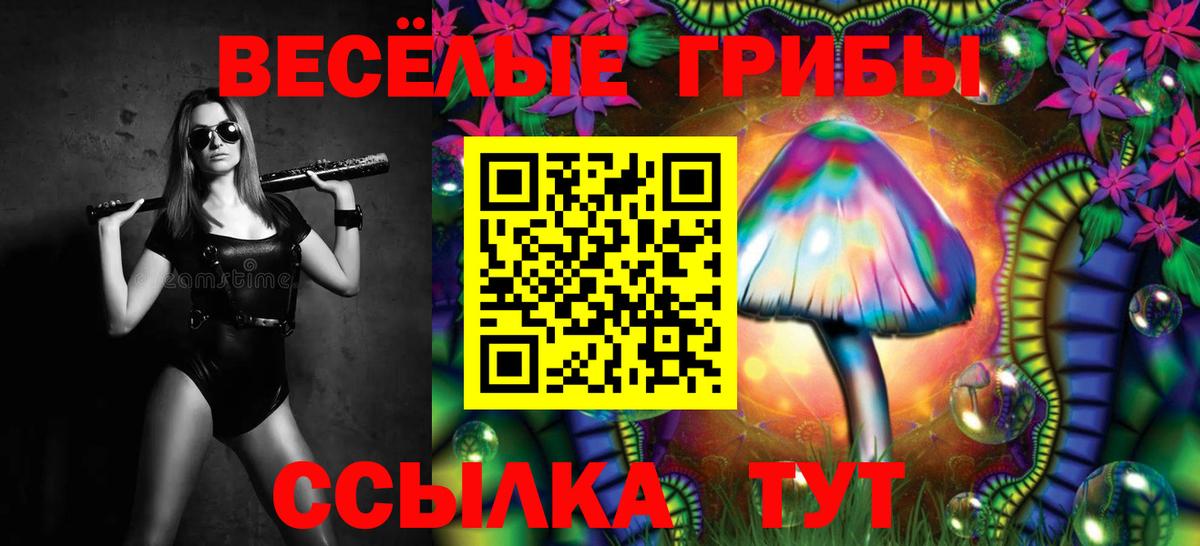 Псилоцибиновые грибы Cubensis Йошкар-Ола